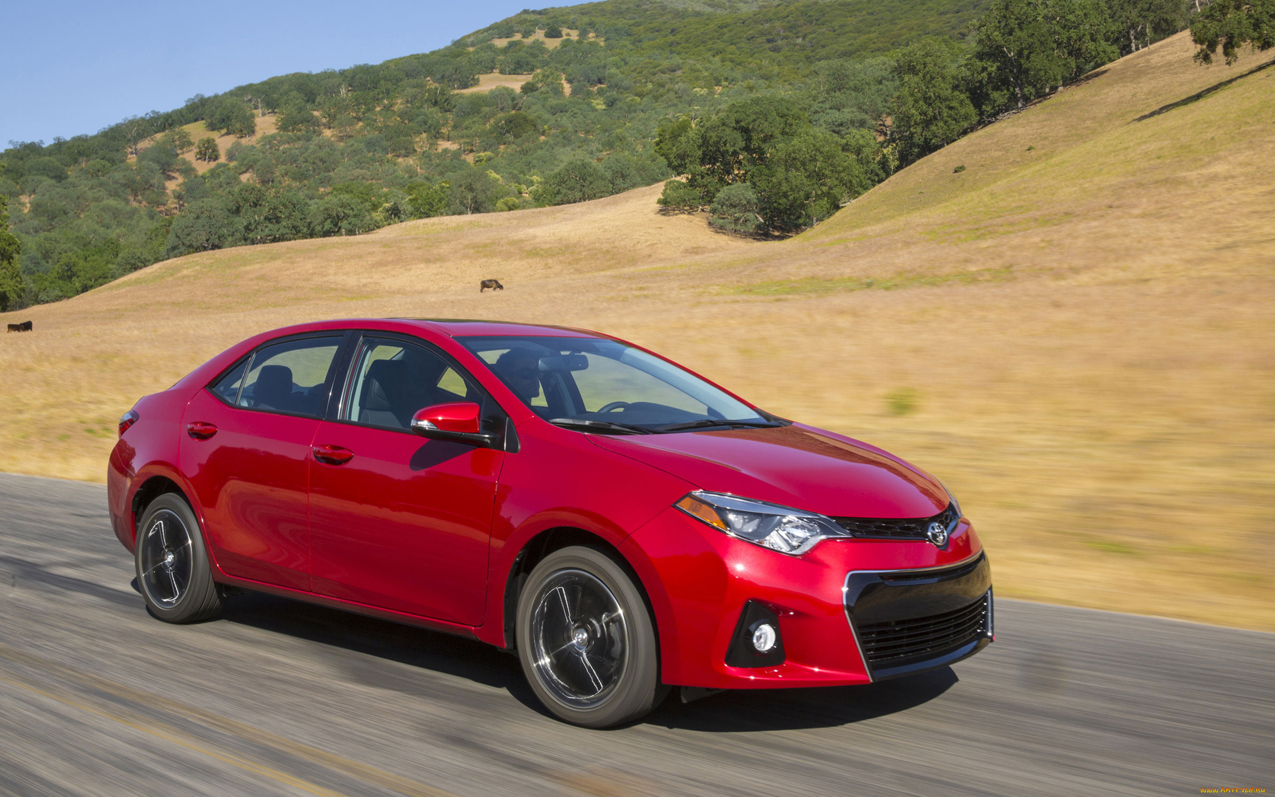 , toyota, corolla, sedan